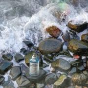 Photo by Лейка@@@