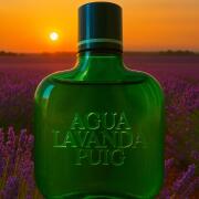 Photo by Falsterbolt