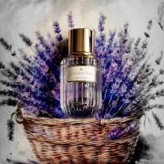 Photo by Марина Ши