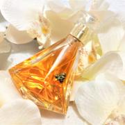 Kim kardashian pure honey best sale edp 100ml