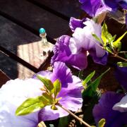 Photo by Ночной дождь