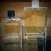 Terre d'Hermès Hermès cologne - a fragrance for men 2006