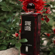 Photo by Sweet Orchid