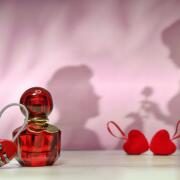 Photo by Sweet Orchid