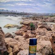 Photo by Yassinebenomar