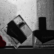 I'm Not Going to Disturb You Homme Yohji Yamamoto perfume - a