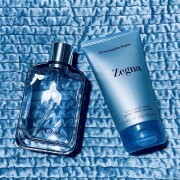 Z Zegna Ermenegildo Zegna cologne - a fragrance for men 2005