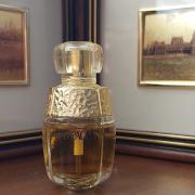 Yvresse (Champagne) Yves Saint Laurent perfume - a fragrance for 