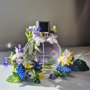 Chance Eau Splendide Chanel 香水- 一款2025年新的女用香水