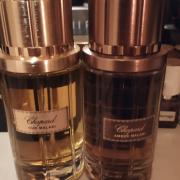 Amber Malaki Chopard perfume - a fragrance for women and men 2015