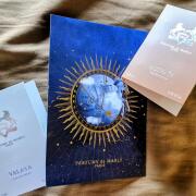 Photo by StephWillimon