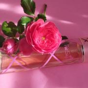 Pink Sugar Aquolina perfume - a fragrance for women 2004