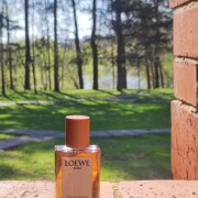 Aura Loewe Pink Magnolia Loewe 香水- 一款2020年女用香水