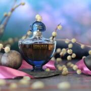 SHALIMAR SOUFFLE DE PARFUM シャリマースフルドゥ ゲラン】シャリマー スフル ドゥ パルファン（ティエリー