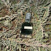 Photo by simeonmavrov