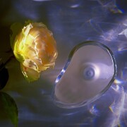 Annam Tan Giudicelli perfume - a fragrance for women