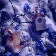 Photo by Casablanca77