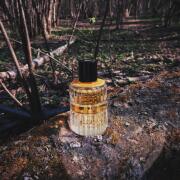 2018 Roxo Tonic Les Bains Guerbois perfume - a fragrance for