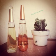 L'eau d'Issey Eau de Parfum Issey Miyake perfume - a fragrância