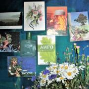 Photo by Vibia Sabina