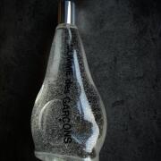 2011 COMME des GARÇONS brack border T nero profumo: Comme Des Garcons Eau De Parfum (2011): Cuir