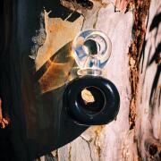 Photo by Лейка@@@