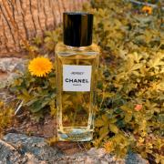 Jersey Eau de Parfum Chanel perfume - a fragrance for women 2016