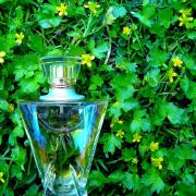 Photo by LOST_HORIZON