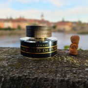 Angelo di Fiume Linari аромат — аромат для мужчин и женщин 2008