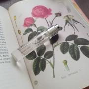 Maison Francis Kurkdjian – l'Homme À la rose – BLU BLAZER GUY