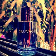 sauvage fragrance notes