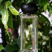 Jo malone cheap oolong tea cologne