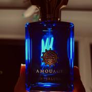 Fragrantica amouage online interlude