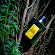 Davidoff wood blend discount fragrantica