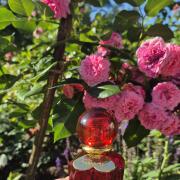 Photo by DefyingGravity