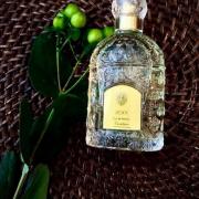 Jicky fragrantica new arrivals