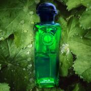 Eau de Basilic Pourpre Hermès perfume - a new fragrance for