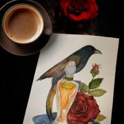 Photo by Лейка@@@