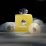 Love Mimosa Amouage perfume a fragrance for women 2019