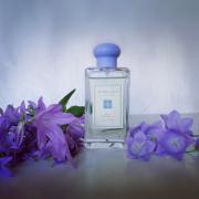 Wild Bluebell Jo Malone London perfume a fragrance for women 2011