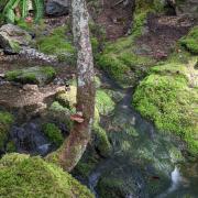 Photo by Louche_Bouche