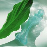 Photo by Poison Girl