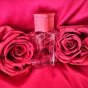 香水(ユニセックス) Zaharoff Signature Rose 60ml Zaharoff Signature ROSÉ EDP Rose Athonite Incense – World of