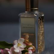 Patchouli Aromatique Lancôme perfume - a fragrance for women and men 2019