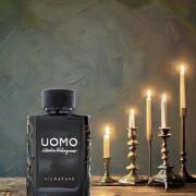 新品未使用　Salvatore Ferragamo UOMO 100ml 香水 菲拉格慕峰范男士淡香水Salvatore Ferragamo Uomo同名淡香水