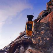 Photo by LOST_HORIZON