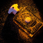 Photo by MAID&Oslash;