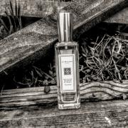Jo Malone London Nectarine Blossom & Honey Perfume Review – EauMG