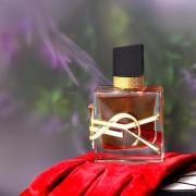 Libre Intense By Yves Saint Laurent EDP Perfume – Splash Fragrance