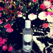 Photo by Juliette has a gun